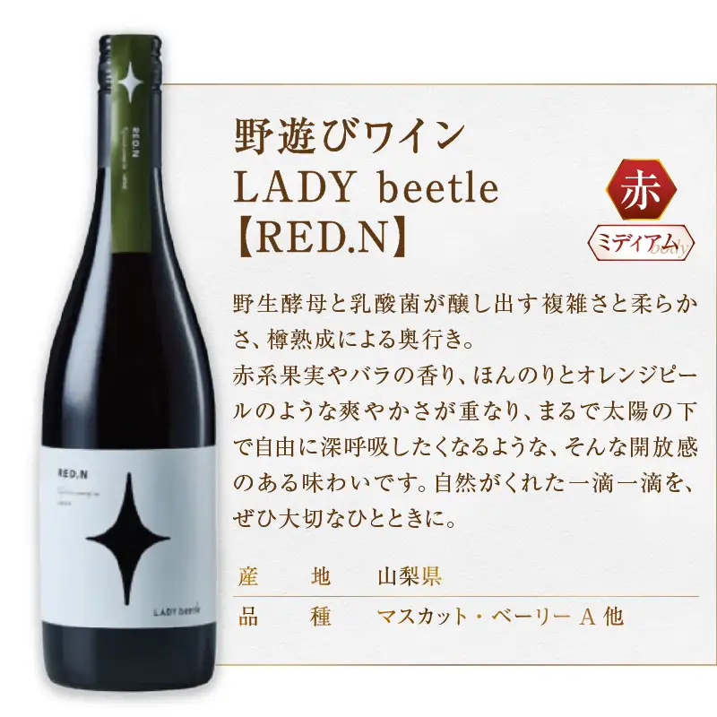 ワイン フジクレール 野遊びワイン LADY beetle【RED.N】【ROSE SP Sparkling】【GREEN.N Sparkling】3本セット（MG）D6-653