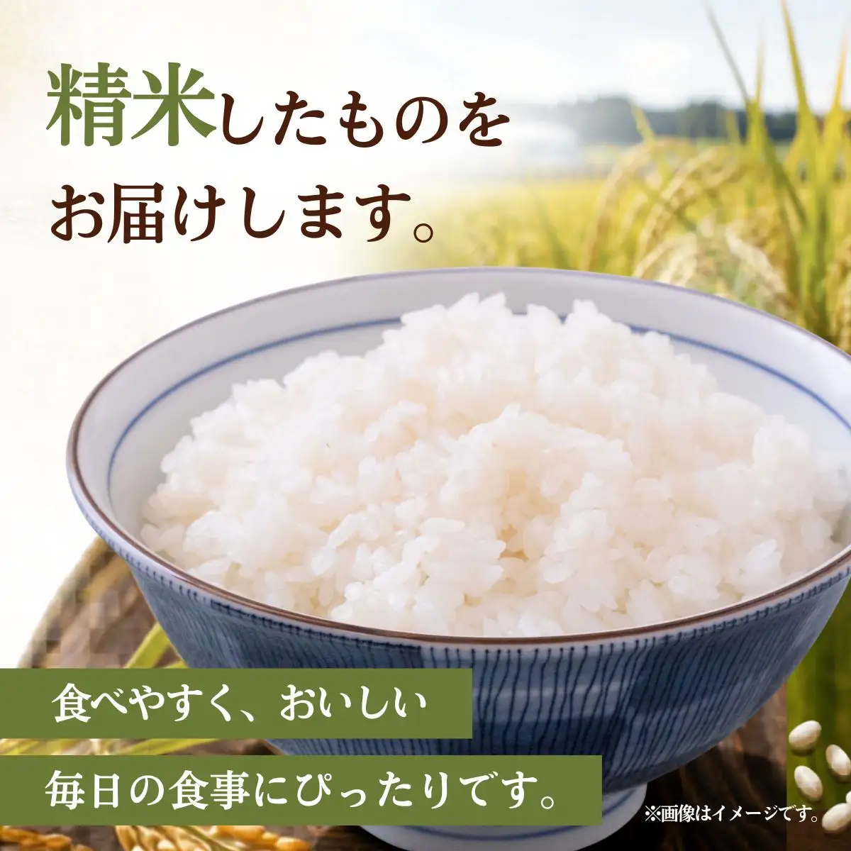 令和8年度米 ふくまる 精米 10kg 農家直送 | 新米 令和8年 先行受付 期間限定 