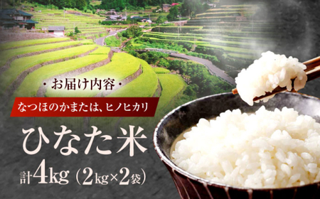 米 ひなた米 4kg(2kg×2袋)[OCM009]