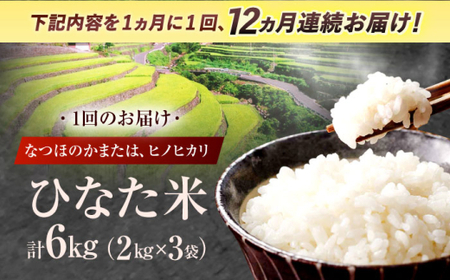 【12回定期便】米 ひなた米 6kg(2kg×3袋)[OCM024]