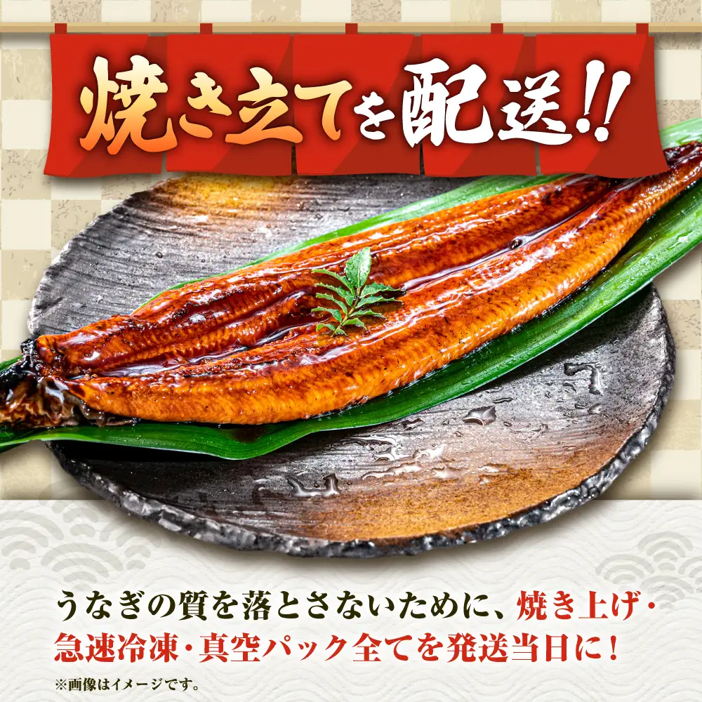 九州産 国産うなぎ 蒲焼 2尾 ウナギ蒲焼[FAD023]