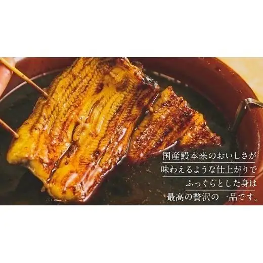 鹿児島県産 きざみ鰻 蒲焼 真空 冷凍パック 500g （50g×10パック）