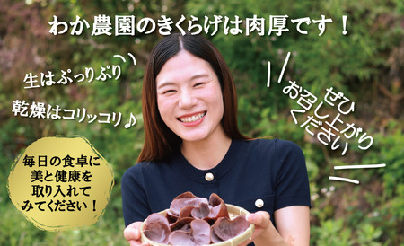 ＼"訳アリ”／鹿児島県産天日干し乾燥きくらげ 合計200g 国産 訳あり 訳アリ 業務用 乾燥きくらげ 野菜 きのこ 健康 食物繊維 低カロリー エムズ わか農園 サラダ みそ汁 スープ 炒め物 煮物 和え物 鹿児島 AS-0145