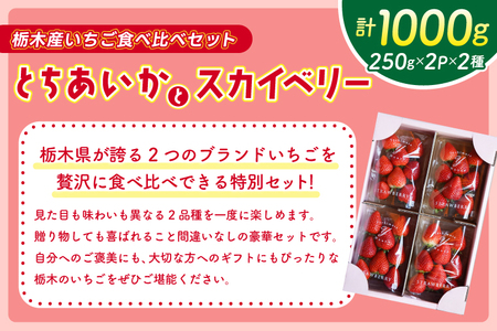 【2027年1月発送開始】【先行予約】合計1,000g 栃木県産 いちご食べ比べセット 甘くて可愛い「とちあいか」× 大粒高級「スカイベリー」 | 栃木県 ふるさと納税 いちご イチゴ 苺 果物 フルーツ とちあいか ご褒美 ハート型 熟成 スカイベリー 大粒いちご セット 食べ比べ こだわり (DS003)