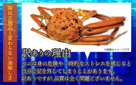 【先行予約】【訳あり】せいこがに 5杯  脚折れ【11月～12月発送】