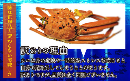 【先行予約】【訳あり】越前がに 2～3杯 （合計1kg以上） 脚折れ【11月～12月配送】