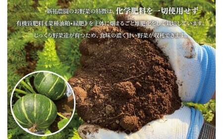 かぼちゃ 3kg以上 Sサイズ 野菜 南瓜 かぼちゃ