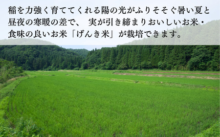 【先行予約】 げんき米 コシヒカリ（玄米10kg）