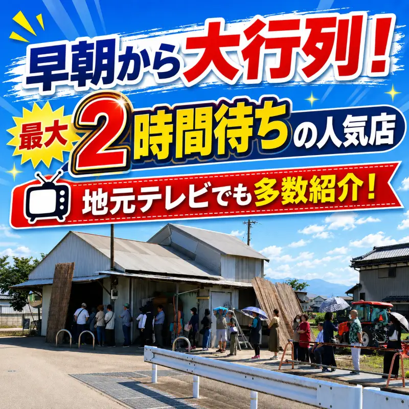 【先行予約】 (2026年11月~順次発送) 【とうもろこし】 イエロー種 10本 高知県産 とうもろこし