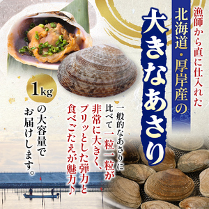 厚岸産あさり 500g×1パック 大中混合 あさり