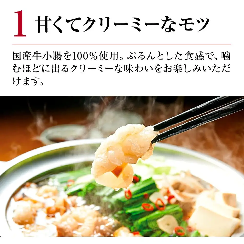 博多もつ鍋やまや もつ鍋セット あごだし醤油味（3-4人前）【やまや】_HA1700