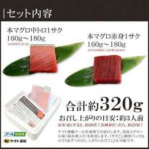 【定期便/計3回】本マグロ中トロ赤身セット320g（計960g）【DG013-t3】