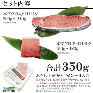 【定期便/計12回】本マグロ大トロ中トロセット350g（計4.2kg）