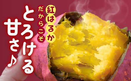 ゆうゆう農園の焼き芋 冷凍 3kg | 焼き芋 焼いも 茨城県 龍ケ崎市