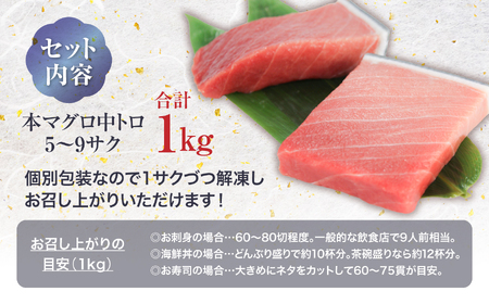 【定期便/計3回】本マグロ中トロ1kg（計3kg）【DG006-t3】
