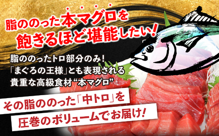【定期便/計12回】本マグロ訳あり中トロ700g（計8.4kg）【DG008-t12】