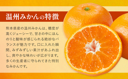 温州みかん 約5kg 日本フルーツ株式会社 ミカン