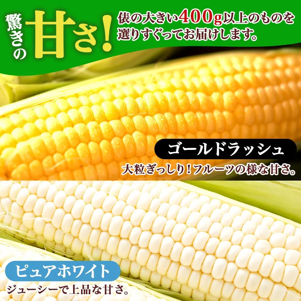 とうもろこし イエロー ＆ ホワイト 食べ比べ 400g以上 各5本 計10本 ゴールドラッシュ ピュアホワイト コーン 玉蜀黍 農家直送 産直 信州 人気 お取り寄せ 平林農園 送料無料 長野県 大町市