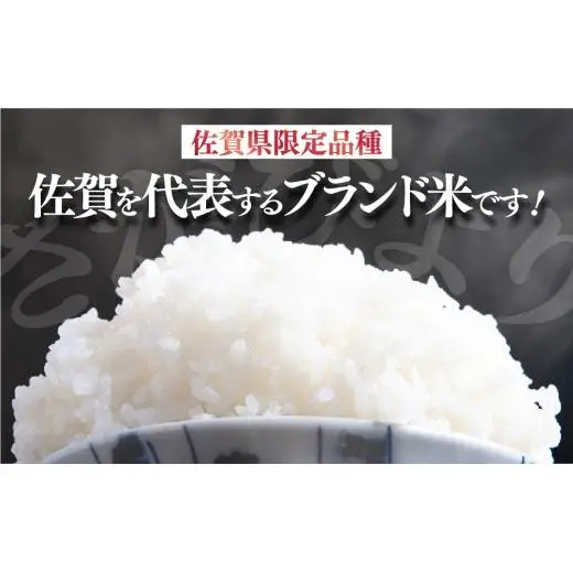 [令和7年産]  さがびより 白米 5kg