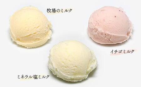 自然栽培農家のジェラート 6個セット ジェラート デザート スイーツ 菓子 食品 F7X-0362
