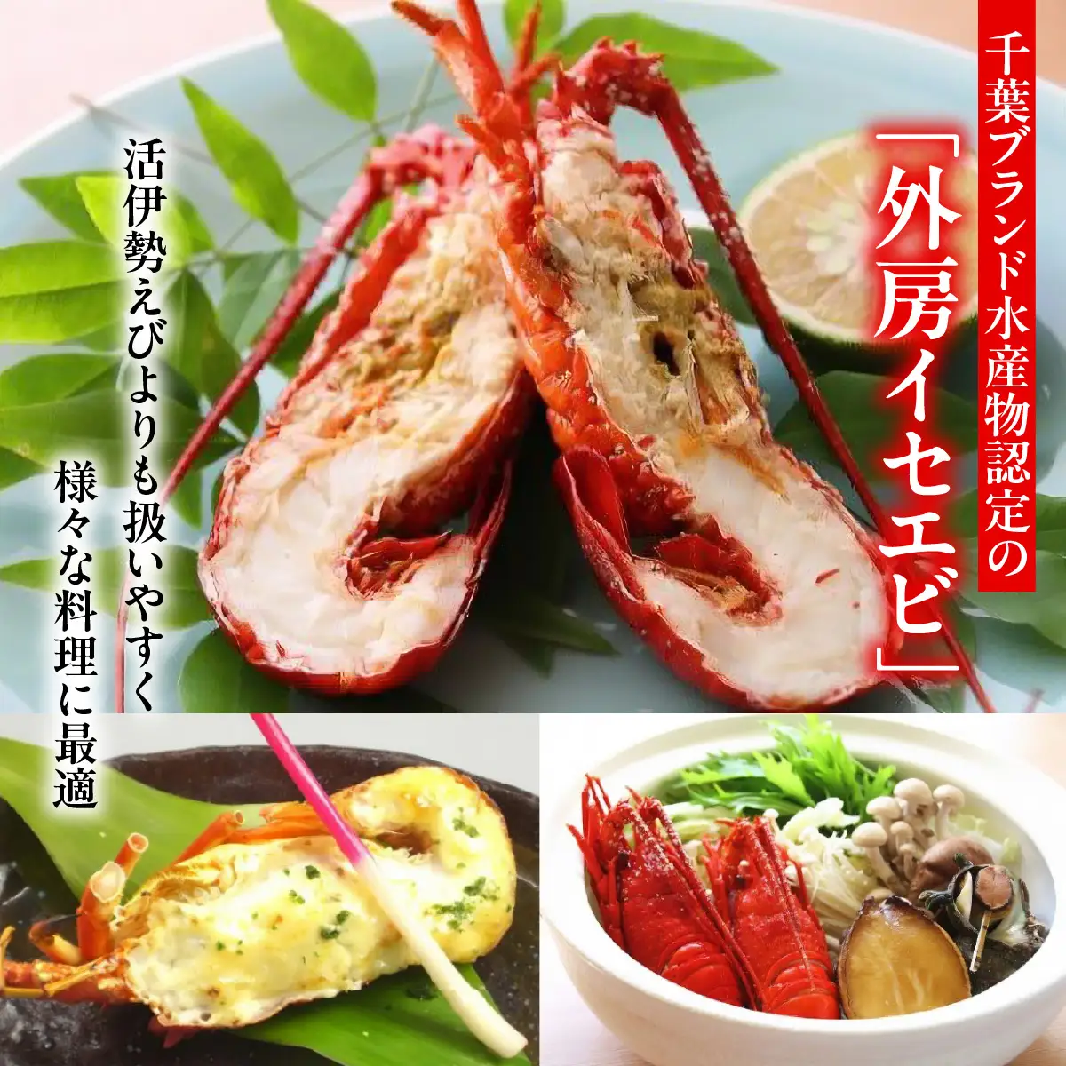 B129 ボイル伊勢エビA ONJC007