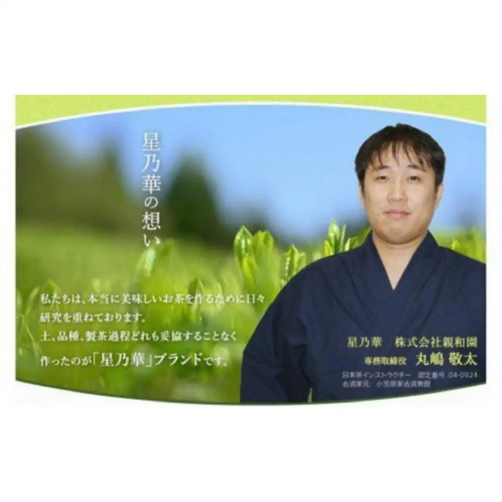 【全3回毎月定期便】八女星野産 玉露ティーバッグ2.5g×100個【八女茶】