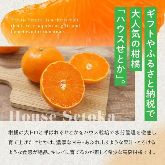 柑橘の大トロ！完熟ハウスせとか  5kg 2027年2月中旬～発送予定