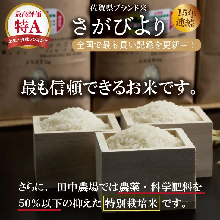 R7年度産（令和7年）特別栽培米 佐賀ブランド 米「 さがびより 」10kg（5kg×2袋）田中農場 精米 白米 10キロ 特A 評価  C230-010
