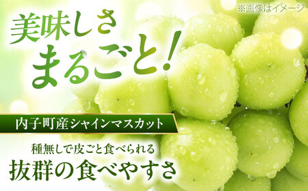 【先行予約】シャインマスカット・ピオーネのセット 約1kg BKAY012 ぶどう