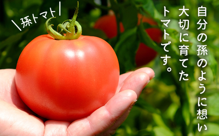 ＜孫トマト（桃太郎トマト）約4kg＞ トマト とまと 4キロ 孫トマト 大玉 愛媛県産 西予市産 食品 桃太郎トマト 桃太郎 野菜 やさい サラダ 産地直送 国産 城川 吉岡農園 愛媛県 西予市【常温】『2026年8月～11月中旬迄に順次出荷予定』SYN0003