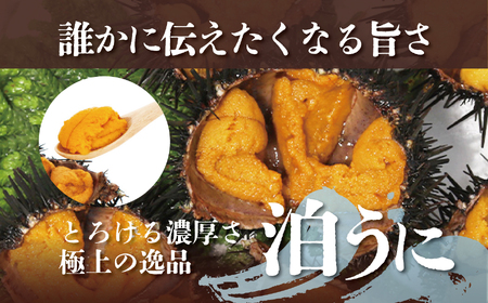 青森県六ヶ所村産　泊うに（甘塩うに）　60g