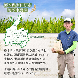 【令和7年産 】栃木県 大田原市産 コシヒカリ 白米 10kg ｜コメ お米 銘柄米 農家直送 産地直送 産直 数量限定