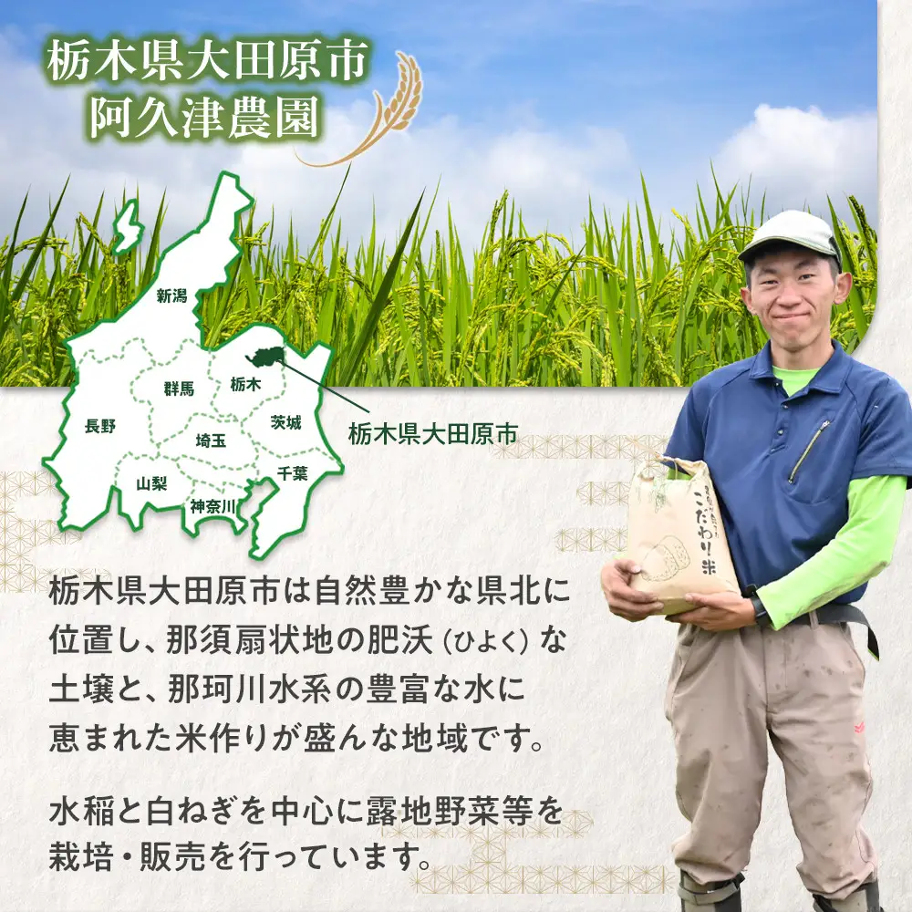 【令和7年産 】栃木県 大田原市産 とちぎの星 白米 5kg ｜コメ お米 銘柄米 農家直送 産地直送 産直 数量限定