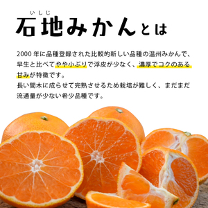 【2026年12月中旬頃から順次発送】 瀬戸内海の島みかん (秀品・ギフトBOX入)【石地みかん】約3kg | 柑橘 みかん 密柑 オレンジ フルーツ 果物 【KK3281】