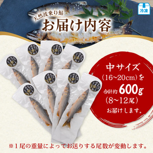 天然波乗り鮎 約600g 中サイズ 16～20cm 8～12尾 鮎 天然 約600g あゆ アユ 天然鮎 清流 海部川 川魚 冷凍