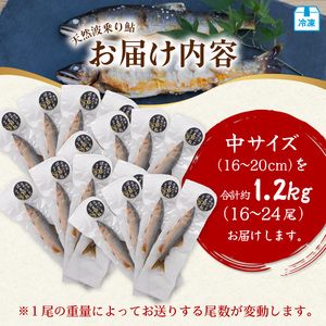 天然波乗り鮎 約1.2kg 中サイズ 16～20cm 16～24尾 鮎 天然 約1.2kg あゆ アユ 天然鮎 清流 海部川 川魚 冷凍