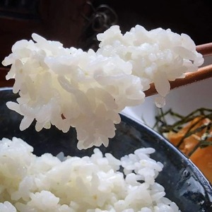 【令和7年産】新米 先行予約 5kg ×6回 京都・神前米 キヌヒカリ 5kg × 6ヶ月 計30kg