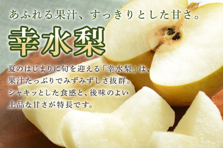 【数量限定・先行予約】 梨 幸水 3kg L～4L 7～10玉 なし ナシ 果物 フルーツ 国産 【8月10日～9月末発送予定】 70-L