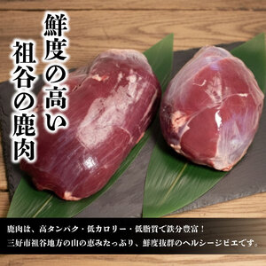 鹿肉モモブロック 500g シンタマ ジビエ 国産 祖谷 地美栄【 ジビエ 】