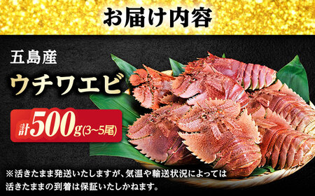 【2026年10月より発送】うちわ海老(活き) 500g（3-5尾）　五島市/真栄丸[PGR003]