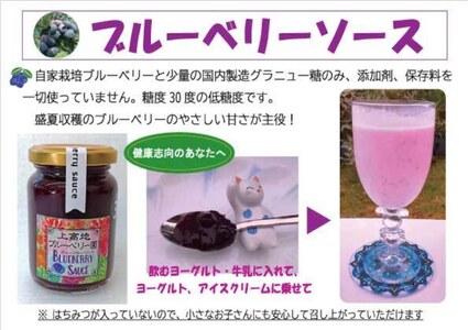 上高地ブルーベリーソース　贈答3本セット