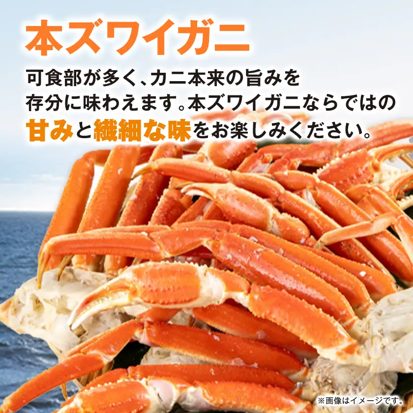 生本ズワイガニ脚肉むき身500g【配送不可地域：離島】【1607604】