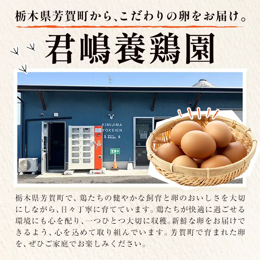 【5ヶ月定期便】たまご 黄味じまん Lサイズ 30個 計150個 君嶋養鶏園