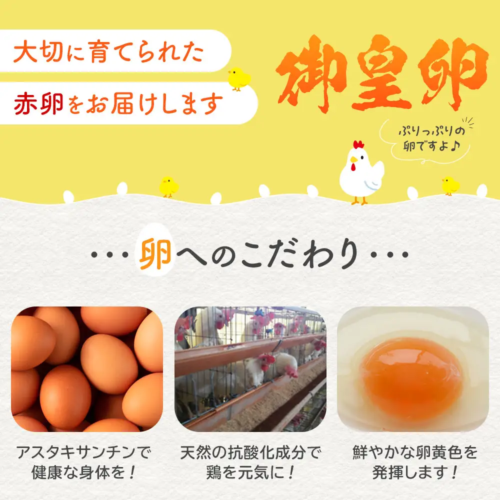 おおえだファーム アスタキサンチン卵（赤）Lサイズ 50個入り 卵