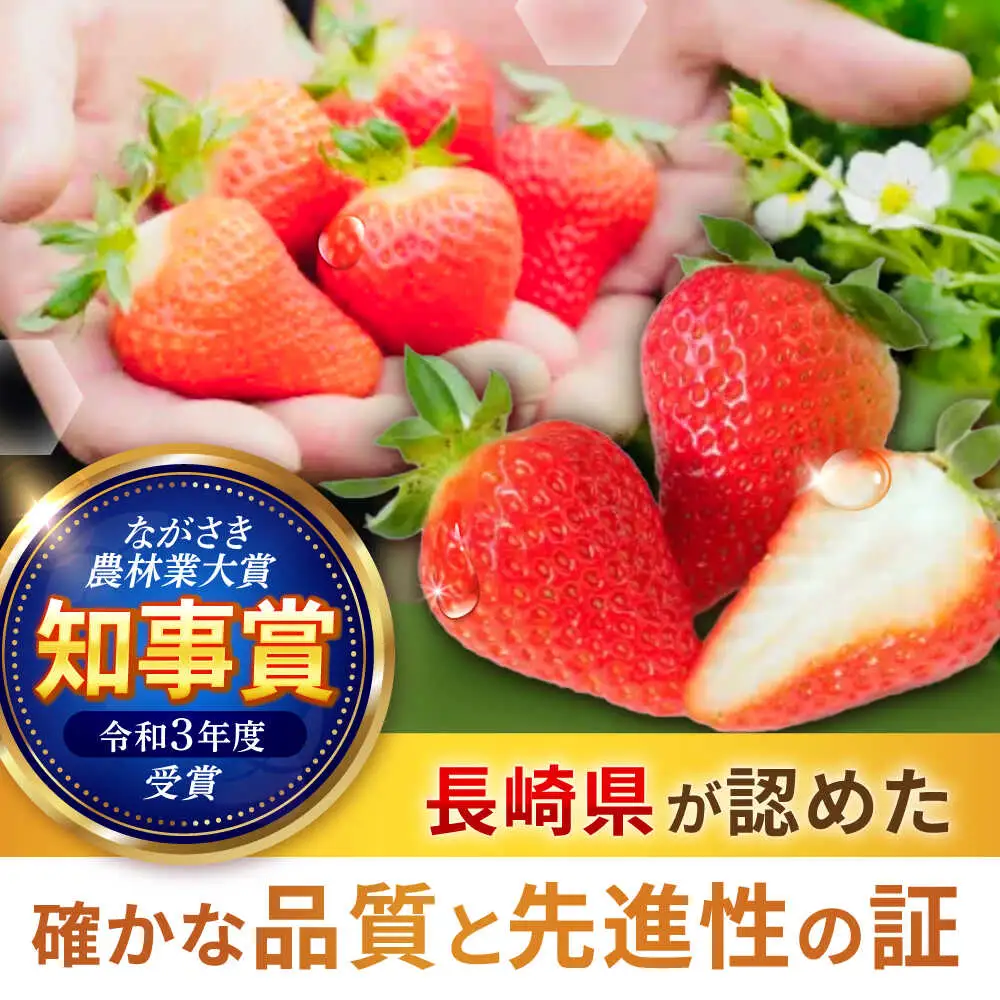 【完熟の恵み、ぎゅっと冷凍！】冷凍いちご「ゆめのか」 M-Lサイズ 1.5kg(500g×3) / いちご イチゴ 苺 冷凍 冷凍いちご 冷凍フルーツ イチゴジャム / 諫早市 / むらたサービス [AHFA001]