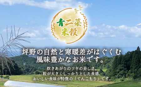 山の湧き水 寒暖差 山里 山里の米･坪野棚田米 R7年産 てんこもり10kg（5kg×2）※北海道・沖縄・離島への配送不可