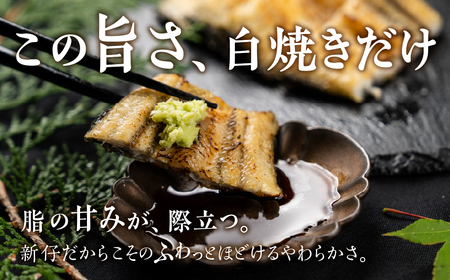 うなぎ晴々 白焼き 新仔 4尾 うなぎ
