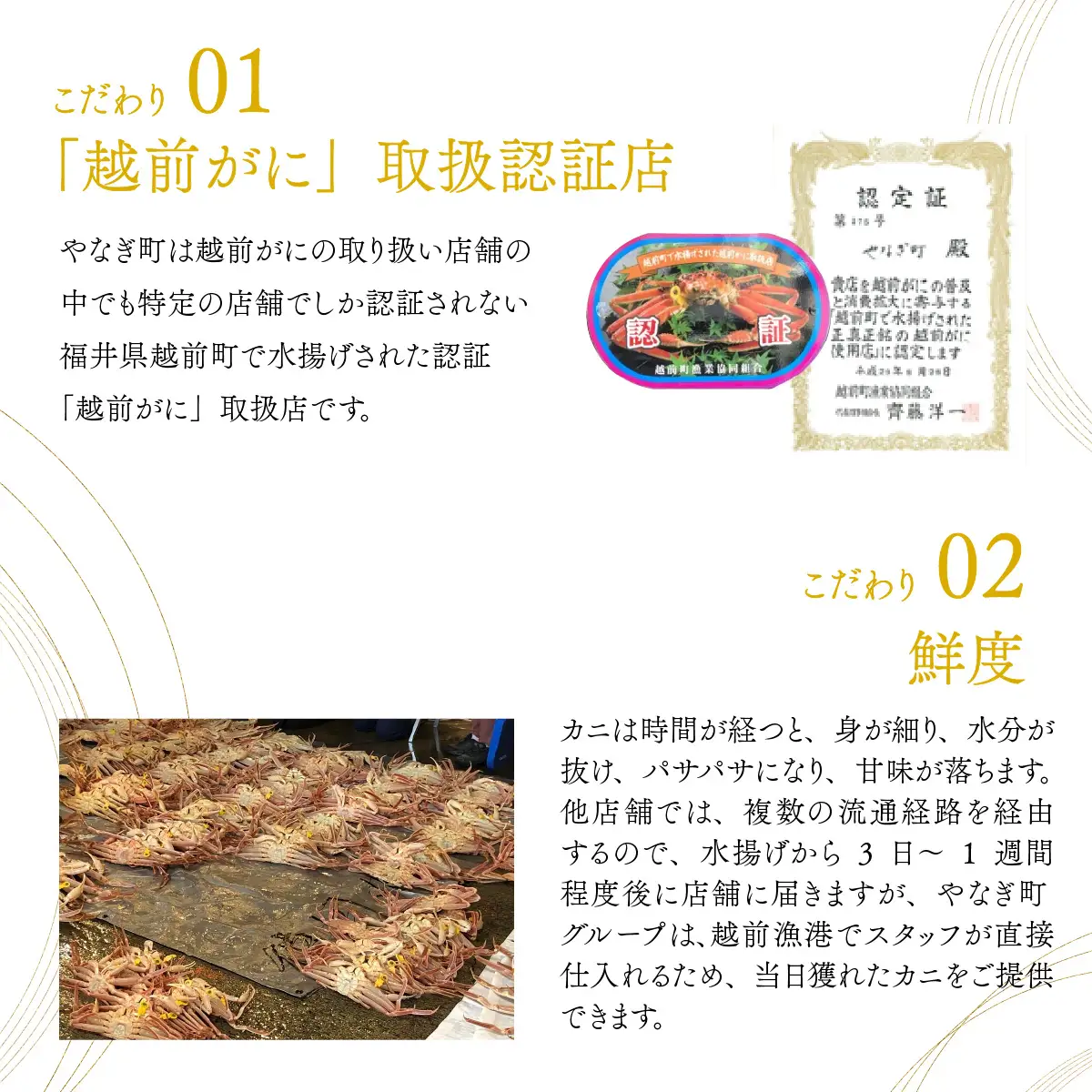 【先行予約】越前がにを贅沢に食べ比べ！老舗カニ料理専門店の「越前ズワイガニ1杯・セイコガニ2杯　甲羅盛」セット【2026年11月中旬より順次発送】 [E-085052] / ｽﾞﾜｲｶﾞﾆｽﾞﾜｲｶﾞﾆｽﾞﾜｲｶﾞﾆ