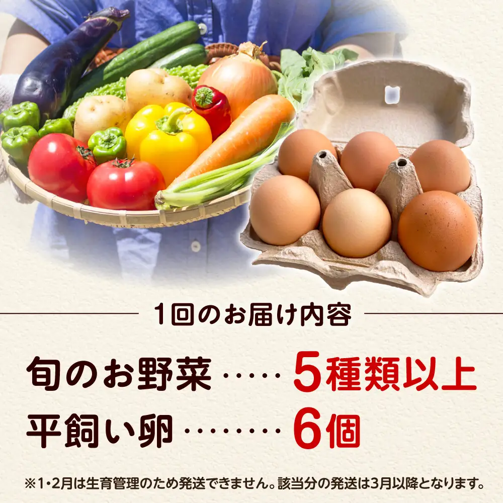 【全10回定期便】 米ぬかで育てた！旬のお野菜＆平飼い卵セット ベジ彩ファーム[AOEJ007] 野菜定期便