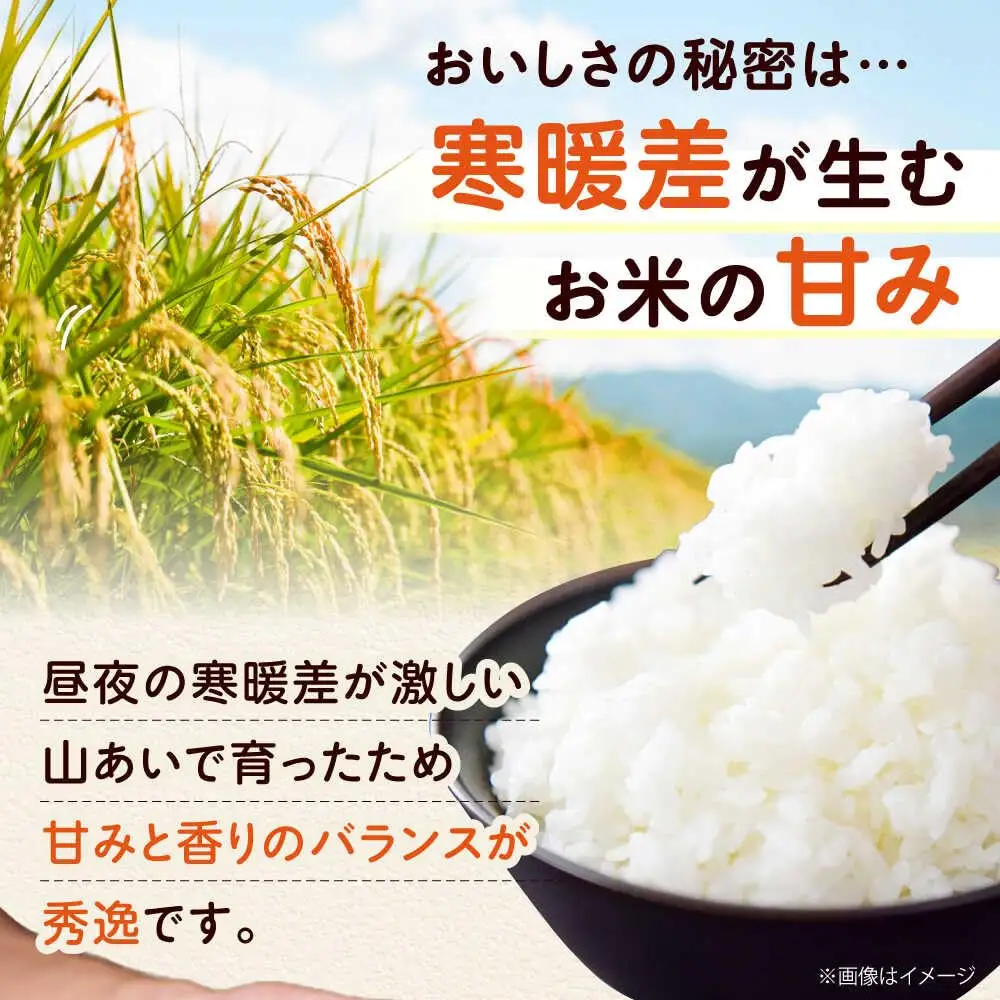 【全3回定期便】お米 10キロ 10kg 大阪府高槻市/ベジ彩ファーム[AOEJ011] お米